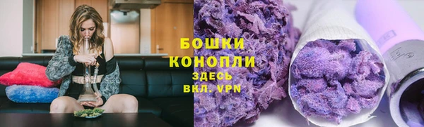 стаф Бородино