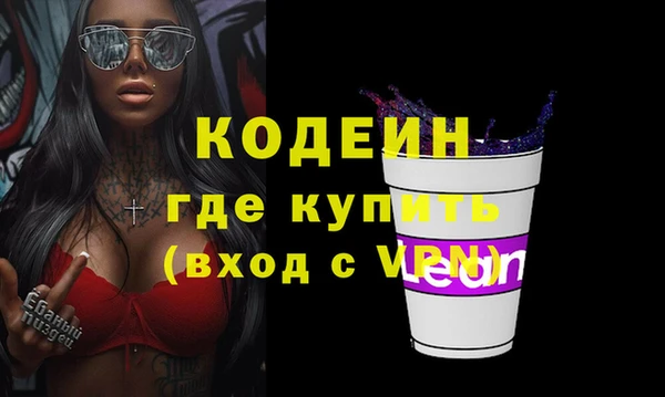 стаф Бородино