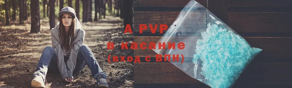 индика Белокуриха