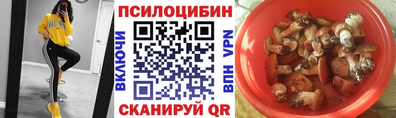 Галлюциногенные грибы мухоморы  гидра как войти  Горнозаводск  дарнет шоп 