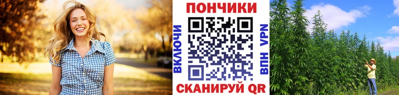 Конопля Bruce Banner  купить наркотики цена  Горнозаводск 